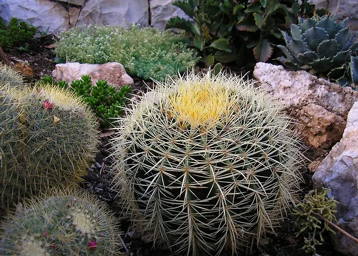 Katica 아파트 트로기르