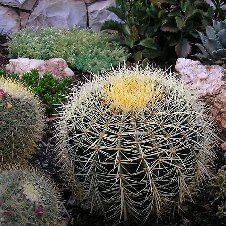 Katica Apartamento Trogir